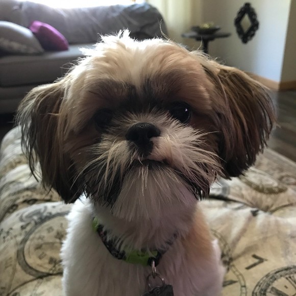 Meet your Posher, Jef - Picture 1 of 1